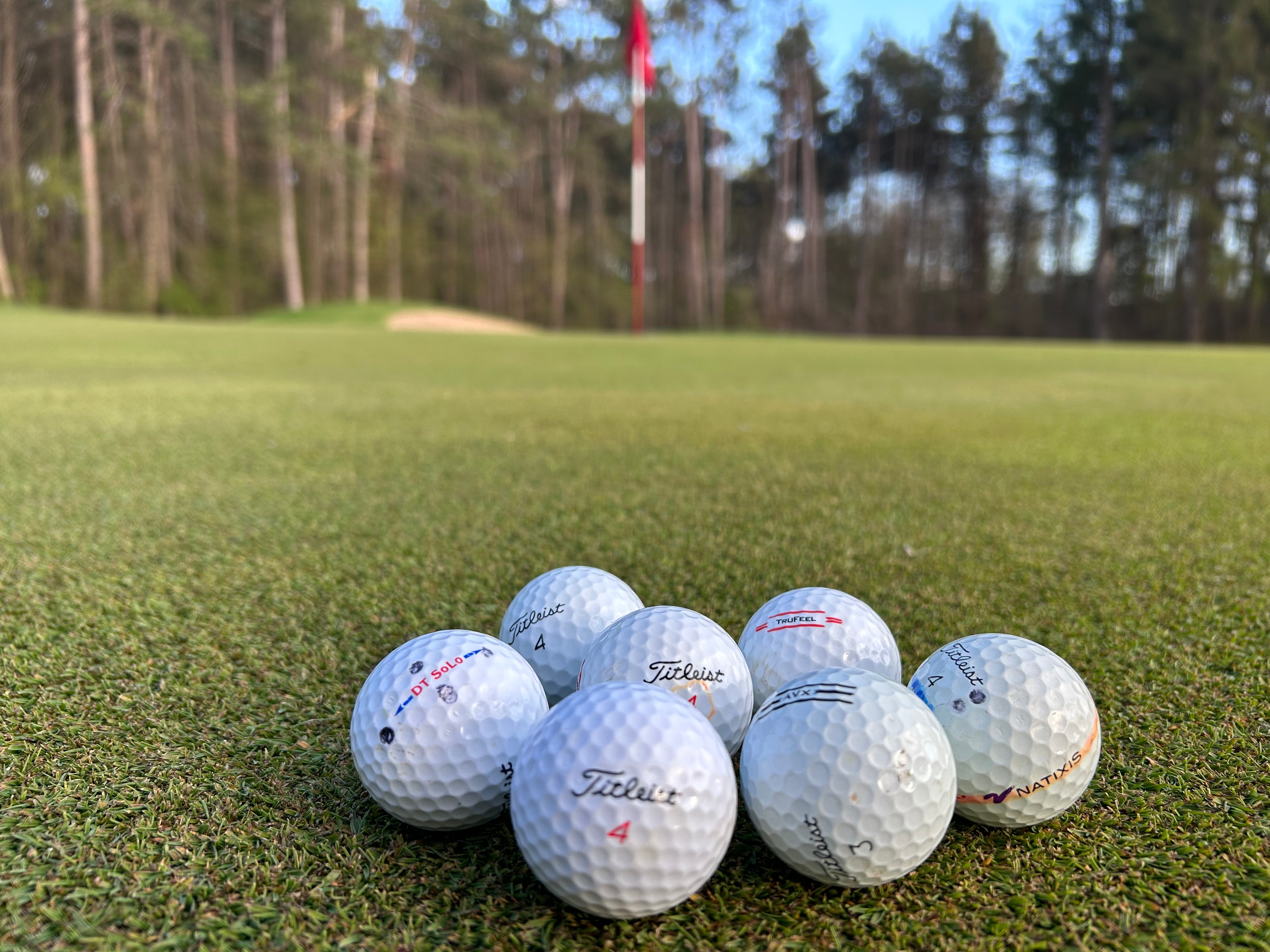 12 Pack Used Golf Balls – Titleist Brand, All White