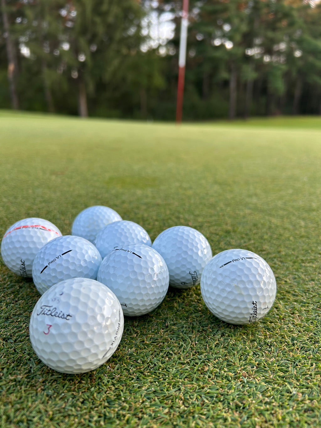 12 Pack Used Golf Balls – Titleist Brand, All White