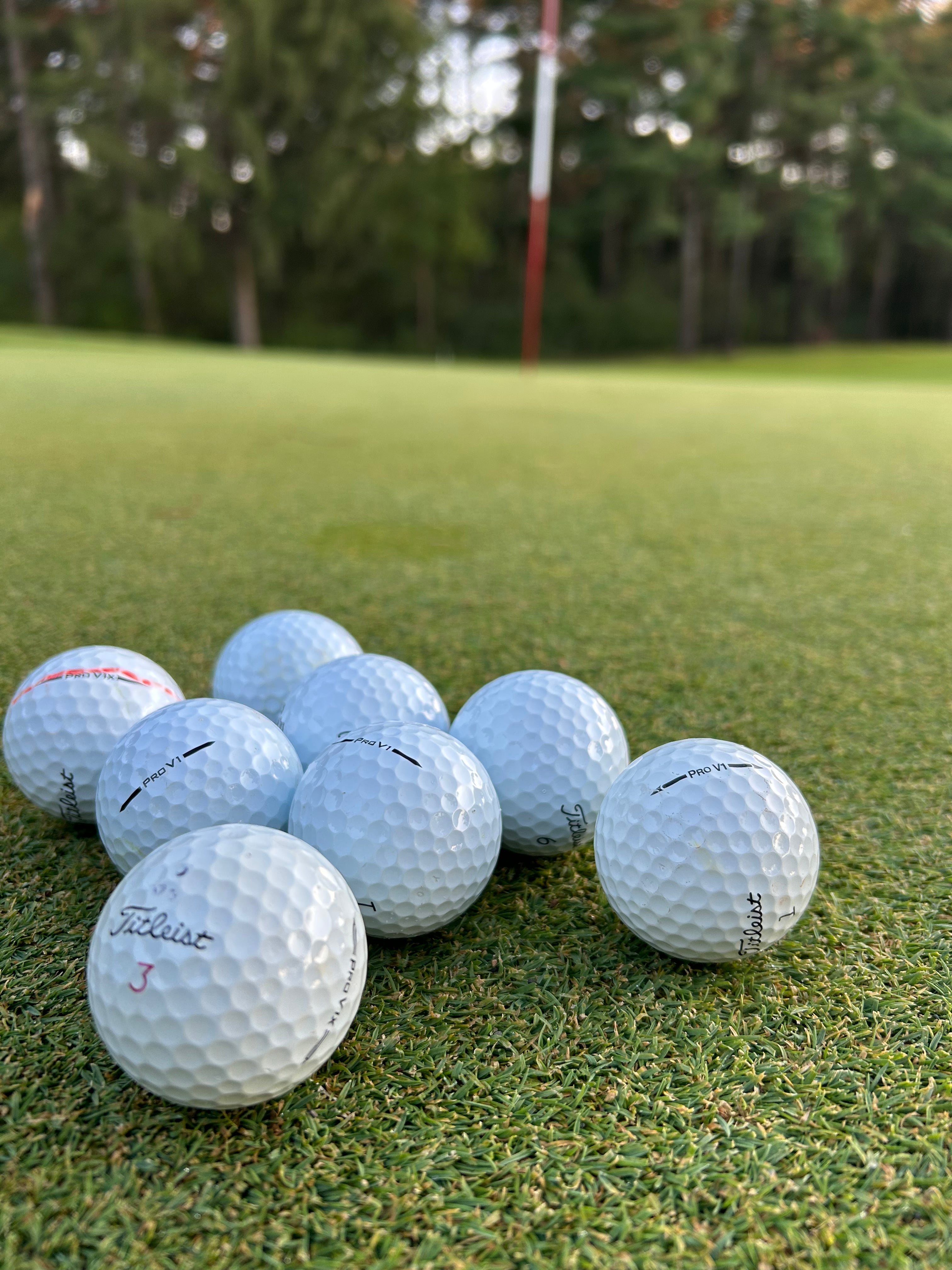 12 Pack Used Golf Balls – Titleist Brand, All White