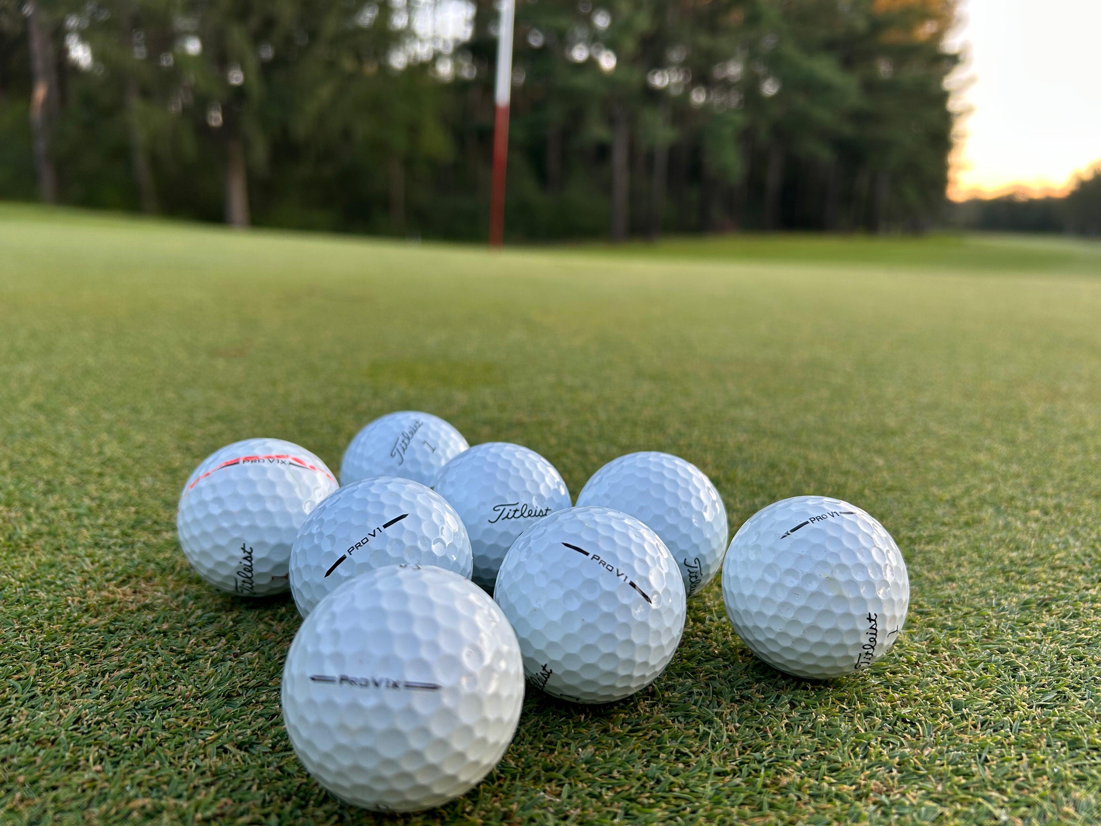 12 Pack Used Golf Balls – Titleist Brand, All White