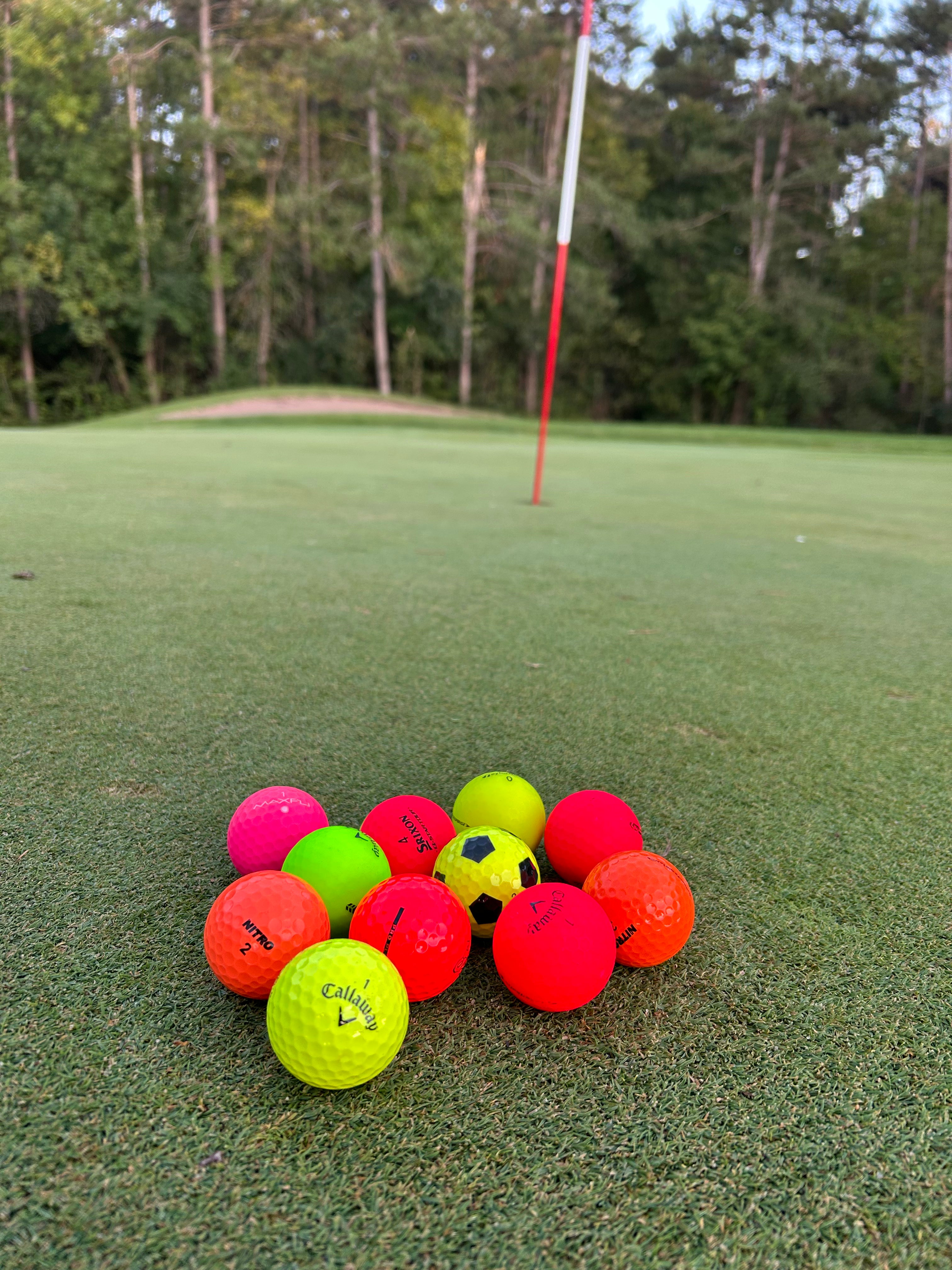 12 Pack Used Colorful Golf Balls – Random Brands