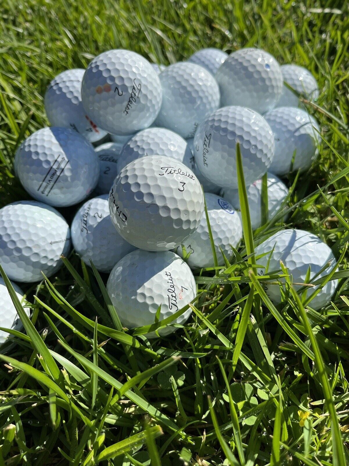 12 Pack Used Golf Balls – Titleist Brand, All White